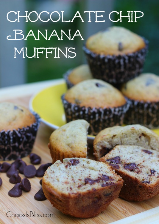 Chocolate Chip Banana Muffins