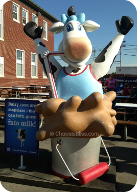 Indiana State Fair Dairy Cow