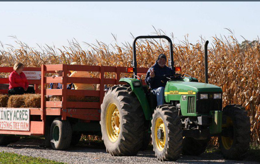 Piney Acres Farm