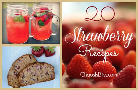 When fresh strawberries are on sale or freshly picked, what are some ways to use them? Here are 20 Strawberry recipes including breads, jams, and desserts.