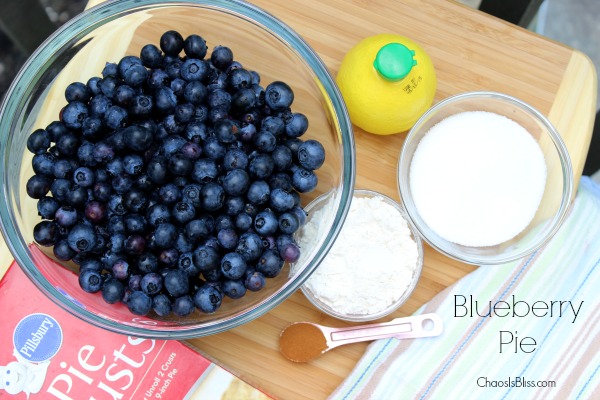 This is the easiest, and best Blueberry Pie recipe you'll ever need. 