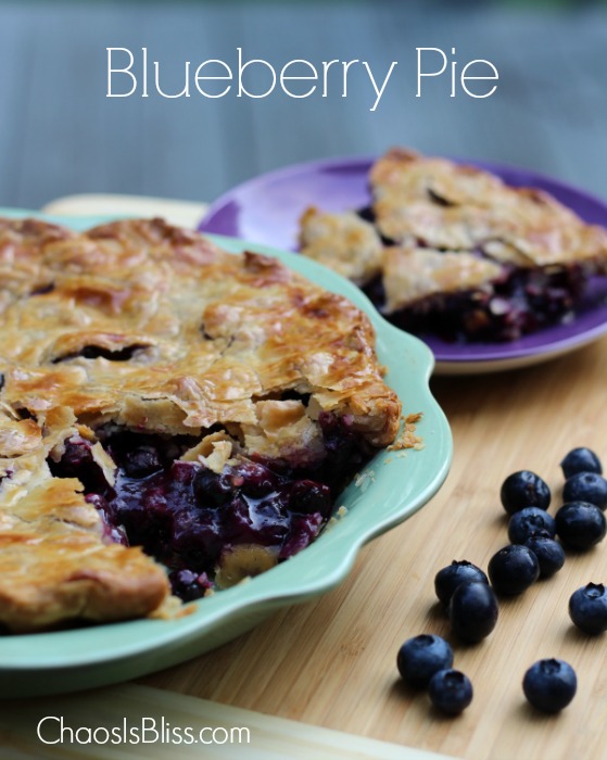 This is the easiest, and best Blueberry Pie recipe you'll ever need. 