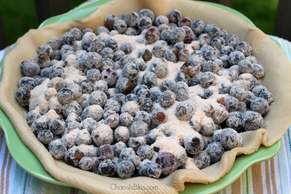 This is the easiest, and best Blueberry Pie recipe you'll ever need. 