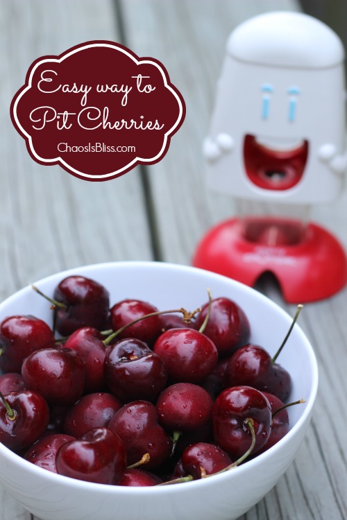 Fresh cherries are full of great health benefits! Here is an easy way to pit cherries with a cool kitchen gadget.