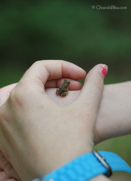 "Fake" camping with kids - when you're not yet ready for the real thing! Tips on camping with kids to make memories that will last a lifetime!