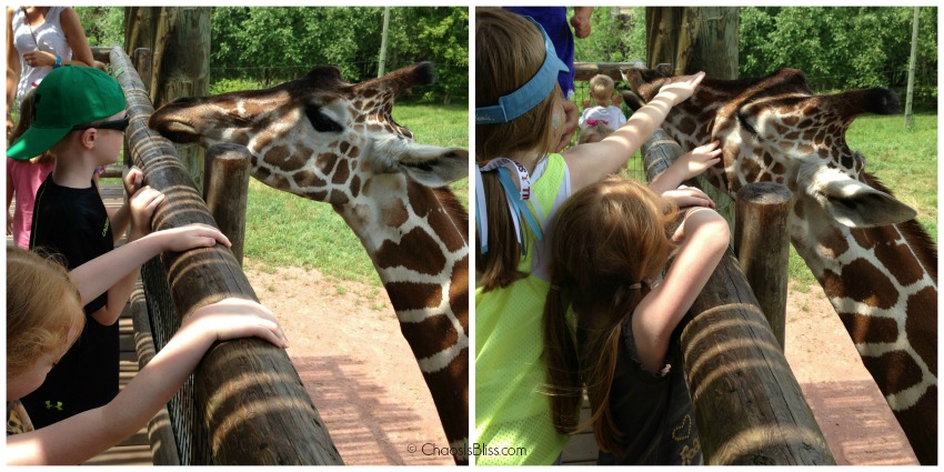 Fort Wayne Children's Zoo