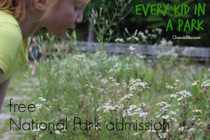 Free family travel when you visit a National Park, with the new Every Kid in a Park initiative from President Obama.