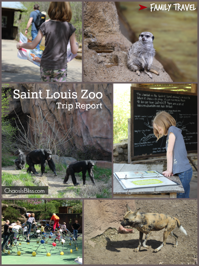 Family Travel | St. Louis, MO {Part II}