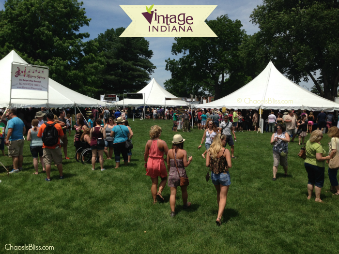 Vintage Indiana Wine Festival Maximizing Your Fun