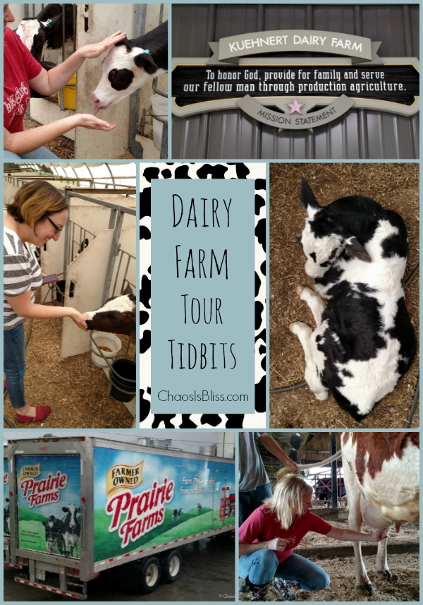 Where does milk come from? Take a dairy farm tour and learn more about dairy, and the technology behind dairy farms.