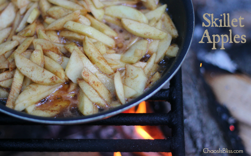 Campfire Skillet Breakfast, Camping Recipes