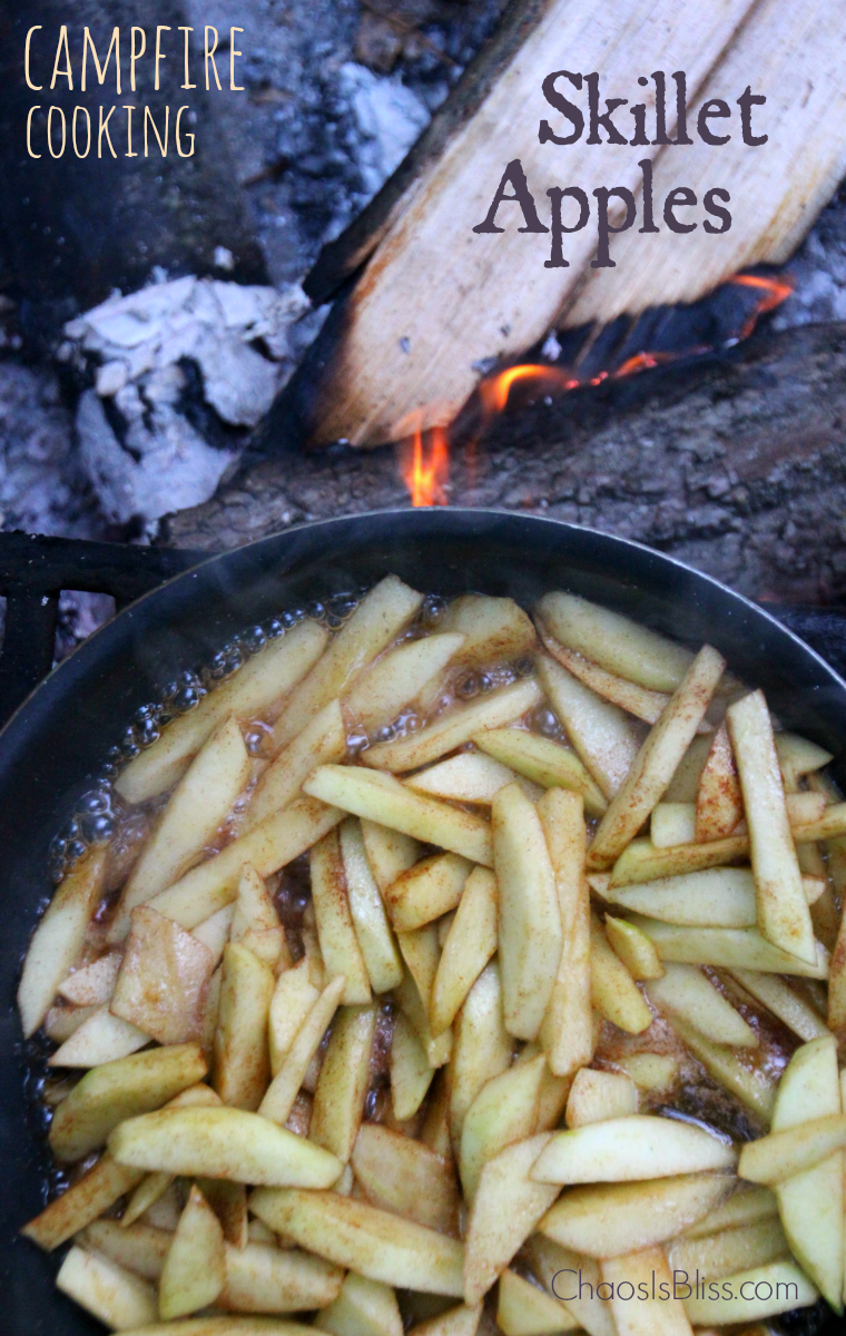 Campfire Skillet Breakfast, Camping Recipes